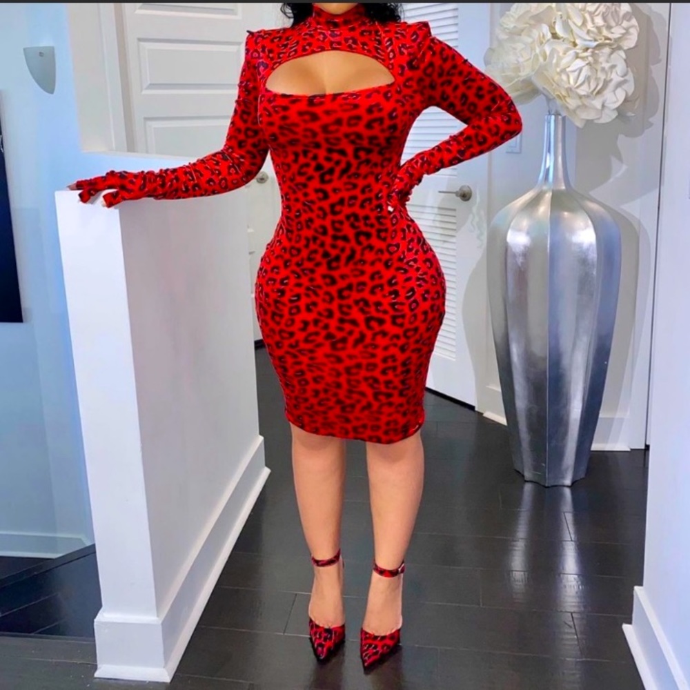Shane Justin Runway Dress